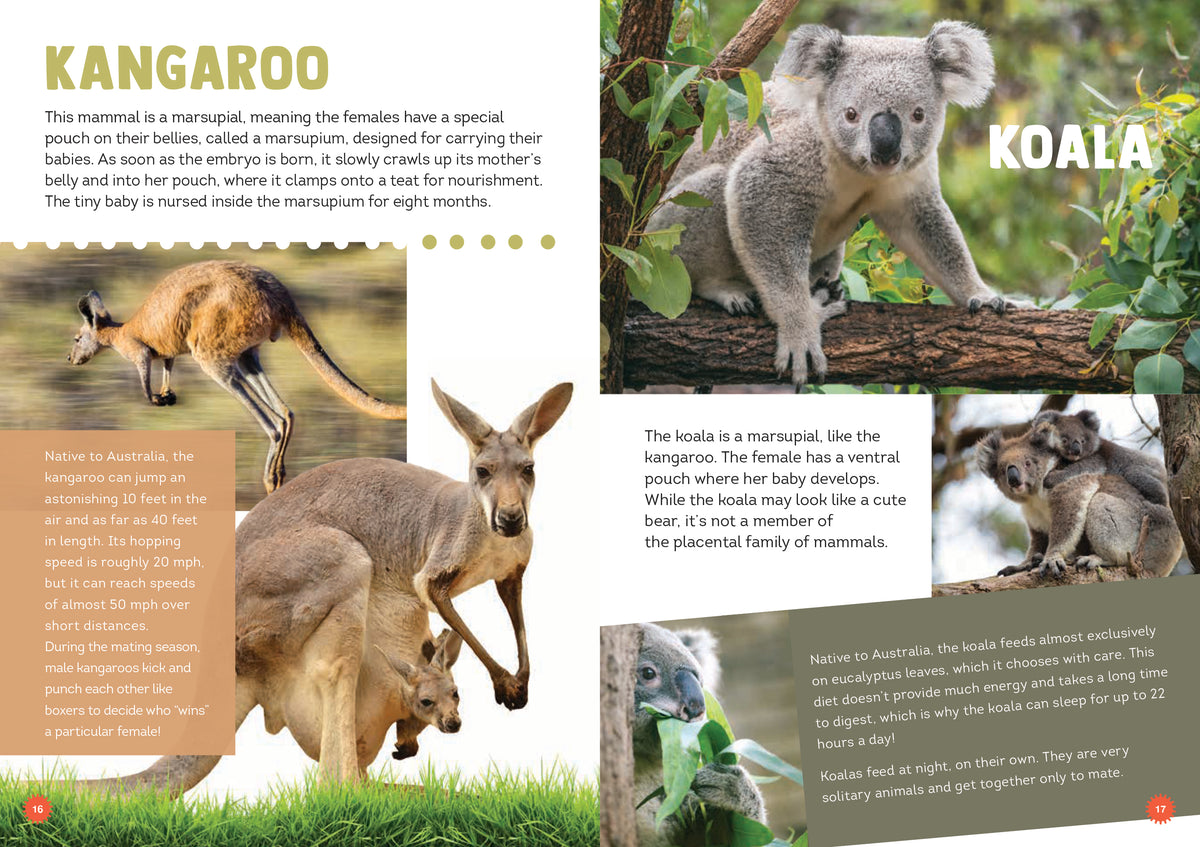 Fun (band) visual data 2