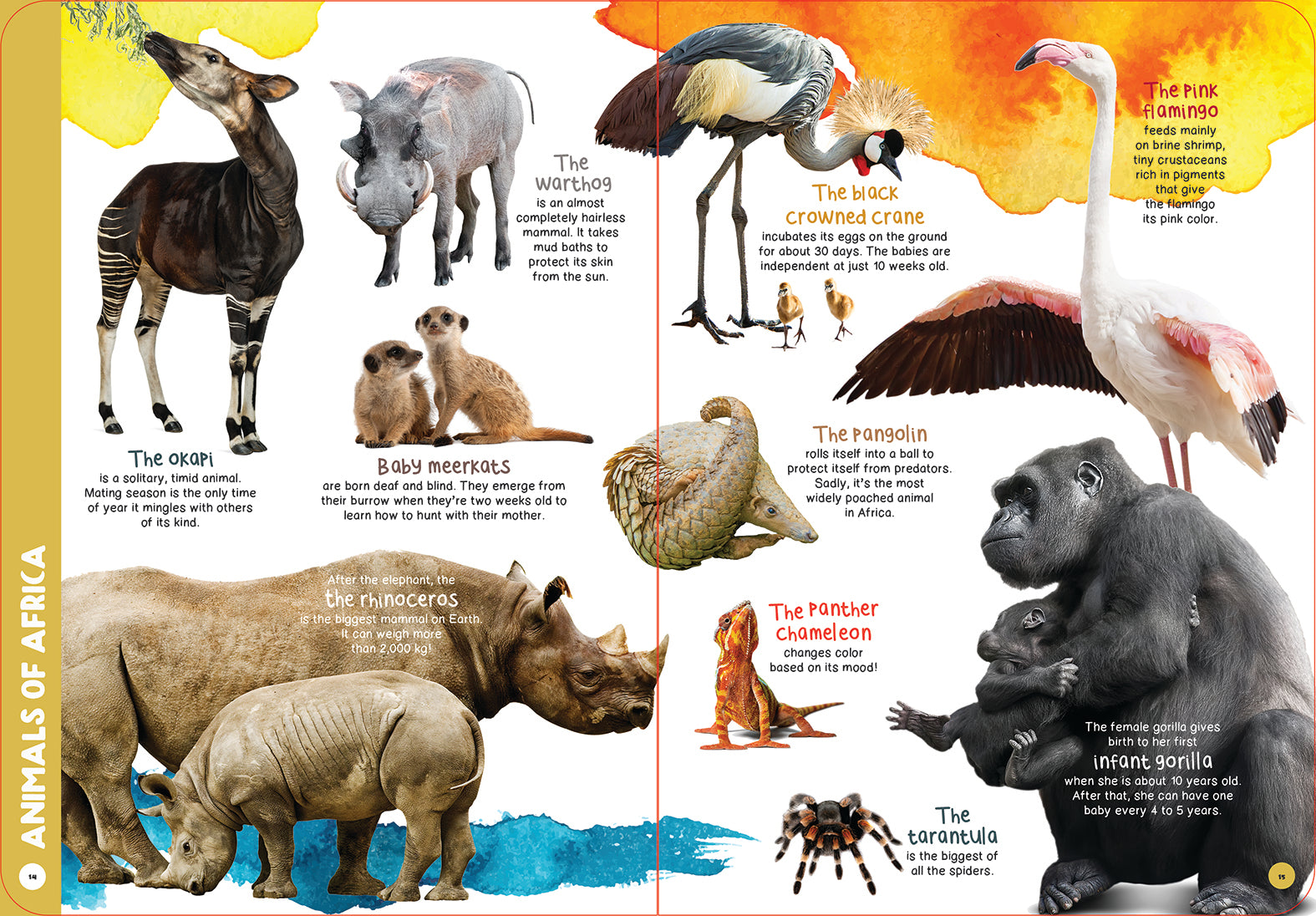 Aimal Book Example Animal Book Page